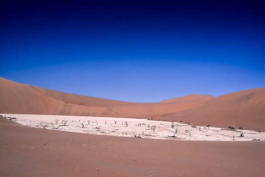 Africa, Namibia, Hardap, Namib Naukluft Park, Deadvlei