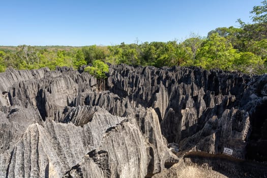 Petit Tsingy de Bemaraha, Strict Nature Reserve located near the western coast of Madagascar. UNESCO World Heritage with unique geography, mangrove forests, and animal. Madagascar wilderness landscape