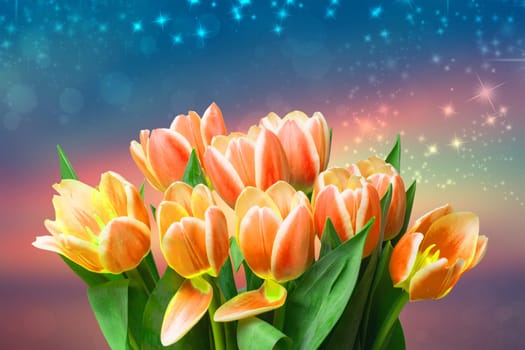 Greeting card template. Closeup of a fresh beautiful red yellow tulips bouquet over abstract blurred stars background. Space. Spring, valentine, mothers or wedding day card. Macro.