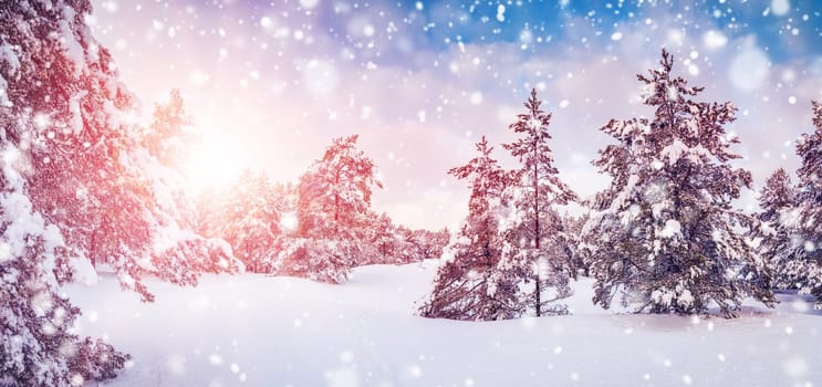 Snowfall in the winter majestic forest in the morning. Beautiful snowy background.