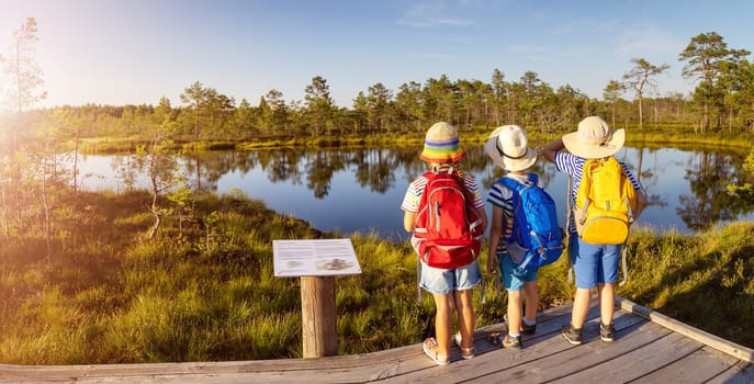 Children standing on the boardwalk on bog and looking on the lake. Concept of hiking, vacation and friendship.