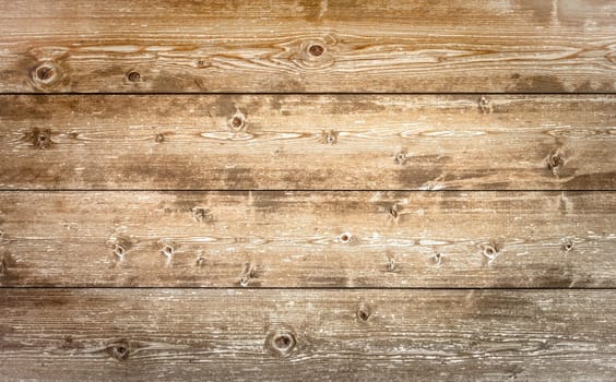Light brown wood texture background from natural tree. Wood floor texture