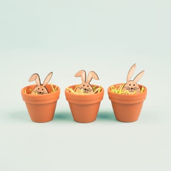 Cute easter bunny or rabbit baby in a flower pot, spring holiday greeting card