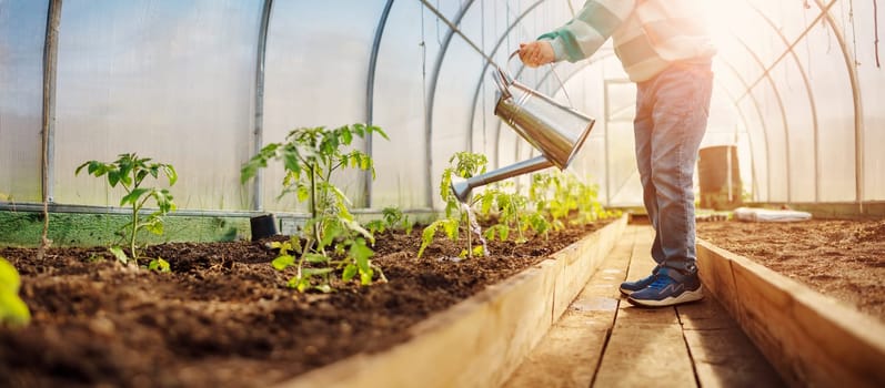 Boy watering some vegetables in the greenhouse. Concept of gardening and farming.