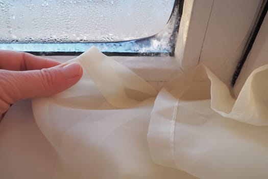 Curtain - white tulle froze to pvc window frame. Melting ice on the glass pane. Problems of heating, maintaining an ergonomic climate in the apartment. Mold on windows. Woman's hand. Economic crisis.