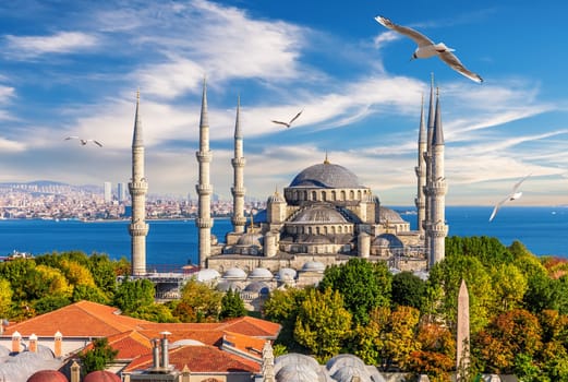 The Blue Mosque of Istanbul, Sultan Ahmet Mosque, beautiful view.