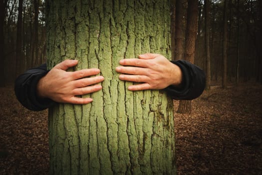 Man embracing a tree in the forest, autumn view
