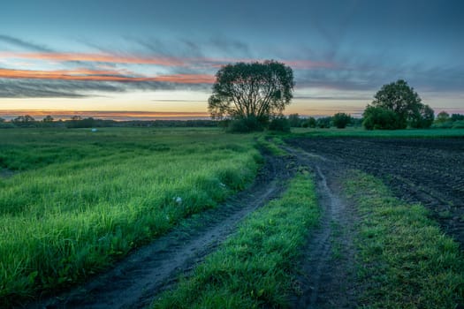 Dirt road between fields and evening sky, rural landscape