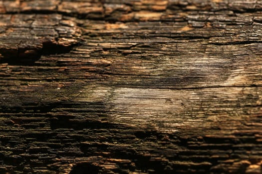 Old wood (sun shining to board on wooden bench) structure. Abstract natural background.