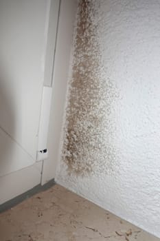 Schimmel an einer Kältebrücke neben dem Fenster - Symbolbild
