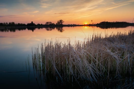 Reeds in the lake and a beautiful sunset, spring landscape, Stankow, Poland