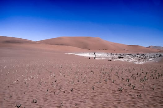 Africa, Namibia, Hardap, Namib Naukluft Park, Deadvlei