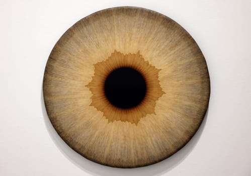 Venice, Italy - Septr 6, 2022: 59th Venice Art Biennale in Venice.A series of eyeball paintings entitled Iris by Swedish artist Ulla Wiggen. Acrylic on panel