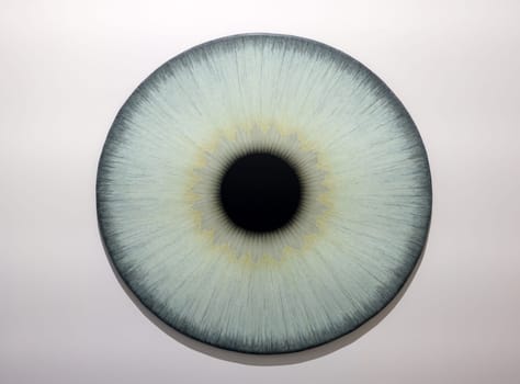 Venice, Italy - Septr 6, 2022: 59th Venice Art Biennale in Venice.A series of eyeball paintings entitled Iris by Swedish artist Ulla Wiggen. Acrylic on panel