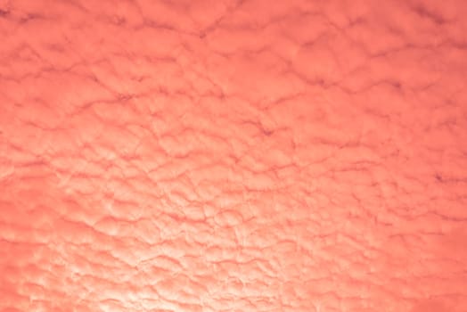 Abstract and pattern of cloud sky Calming coral, Orange, Trend color of the year background, Pattern of colorful cloud and sky sunset or sunrise: Dramatic sunset in twilight, Beautyful of sky