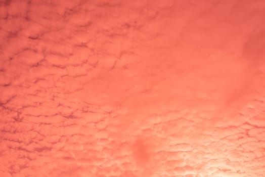 Abstract and pattern of cloud sky Calming coral, Orange, Trend color of the year background, Pattern of colorful cloud and sky sunset or sunrise: Dramatic sunset in twilight, Beautyful of sky