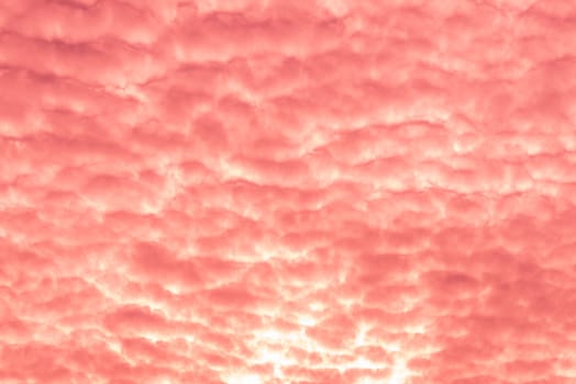 Abstract and pattern of cloud sky Calming coral, Orange, Trend color of the year background, Pattern of colorful cloud and sky sunset or sunrise: Dramatic sunset in twilight, Beautyful of sky