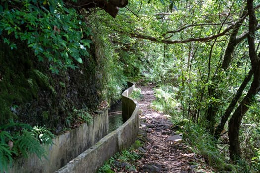 Hiking along levada irrigation channel at Madeira island in Portugal. Levada do Furado.