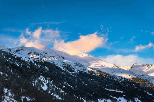 Pine forest on a side of a mountain. Snow capped mountain peaks illuminated by sunset light. Ski winter holidays in Andorra, Pyrenees