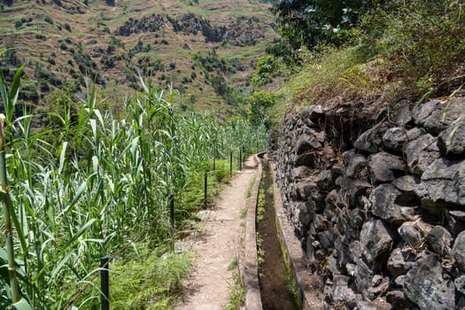 A walking trail along madeira levada do Moinho