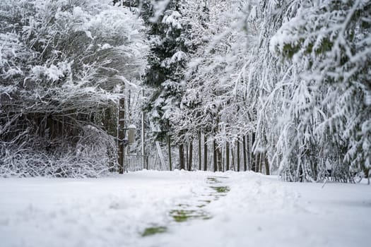 The cleared path from snow to closed gates.