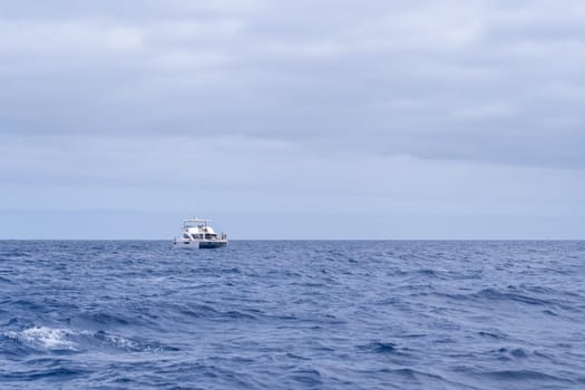 Funchal Madeira Portugal - July 15 2021: Tourists looking for dolphins and whales from a yacht