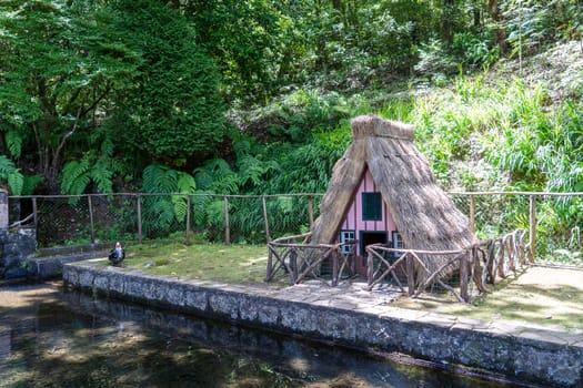 The small house for dog or birds like a traditional madeira house.