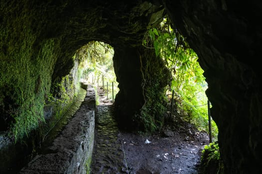 Hiking path in the forest in Levada do Caldeirao Verde Trail, Madeira island, Portugal.
