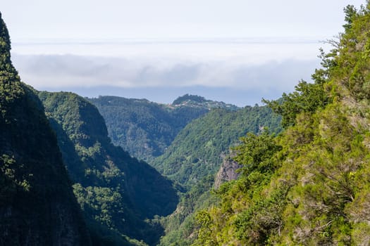 Mountain landscape. View of mountains on the route Queimadas Forestry Park - Caldeirao Verde, Madeira Island, Portugal, Europe.