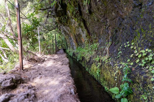 Hiking path in the forest in Levada do Caldeirao Verde Trail, Madeira island, Portugal.