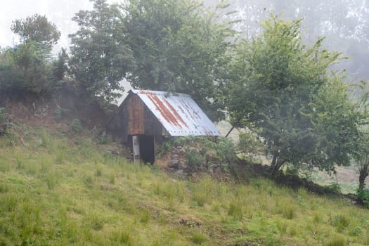 Foggy day in Madeira island. Lonely barn standing in the garden.