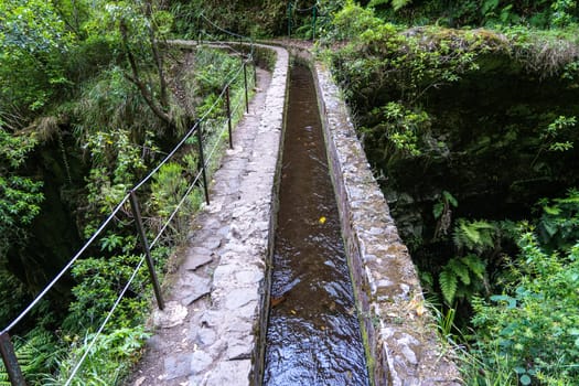 Hiking path in the forest in Levada do Caldeirao Verde Trail, Madeira island, Portugal.