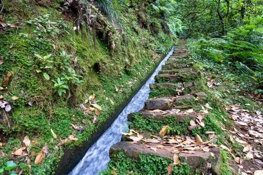 The path by beautiful irrigation canal named levadas in Madeira island, Portugal.