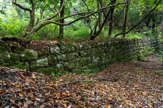 Ancient brick wall in the forest. Madeira island, Portugal.