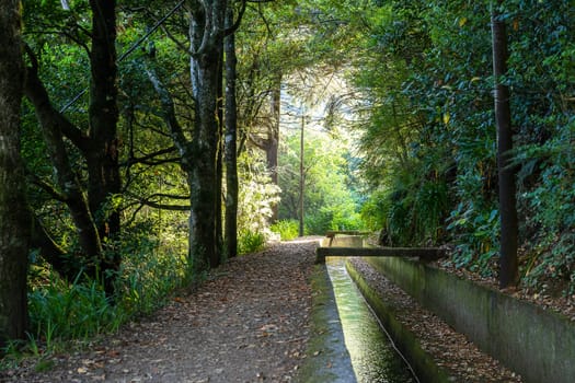 Levada Caminho do Pinaculo e Folhadal in Madeira island. Portugal.