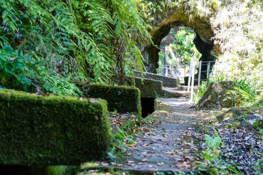 The path by caminho do pinaculo e folhadal levada in Madeira island