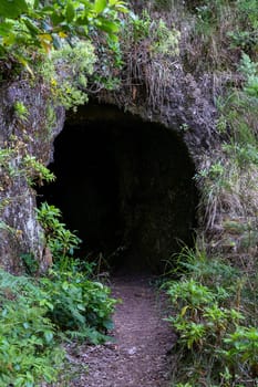 The path by caminho do pinaculo e folhadal levada in Madeira island