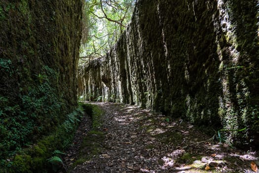 Levada and path between two cliffs in Madeira island