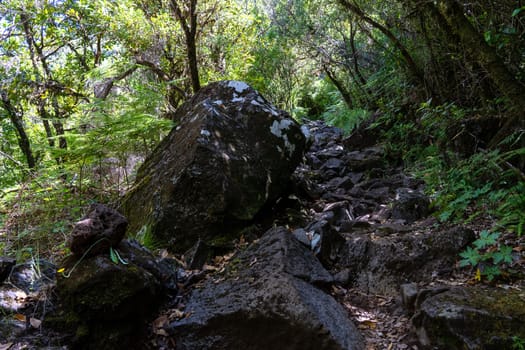 A stack of stones near the path in forest. Madeira island.