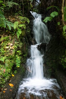 Mini waterfall in Madeira Island