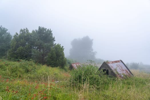 Foggy day in Madeira island. Two barns standing in the garden.