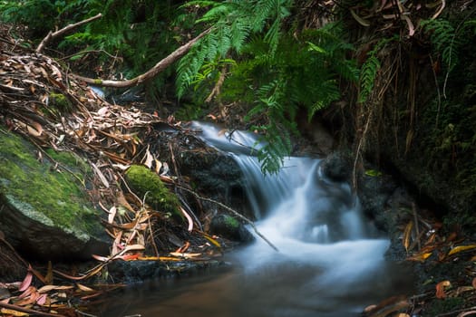 Mini waterfall in Madeira Island