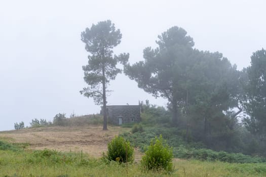 Foggy day in Madeira island. Lonely barn standing in the garden.
