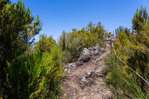 Incredibe nature beauty of Madeira island, famous for hiking in the mountains.