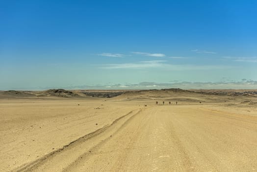 sand road through the moon landscape near Swakopmund, Namibia