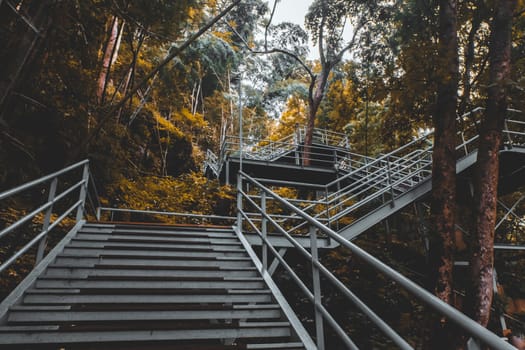 climbing stairs during fall autumn season outdoors . Autumn in the park .  yellow leaf in Autumn season . season change . turning and changing moving on concept idea background