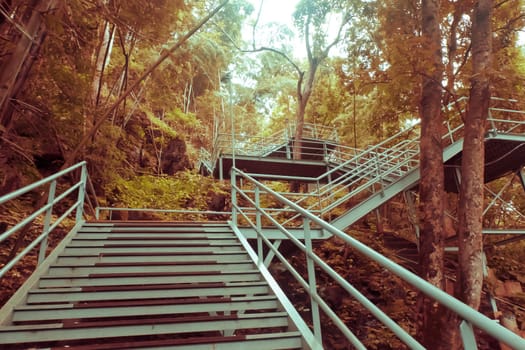 climbing stairs during fall autumn season outdoors . Autumn in the park .  yellow leaf in Autumn season . season change . turning and changing moving on concept idea background