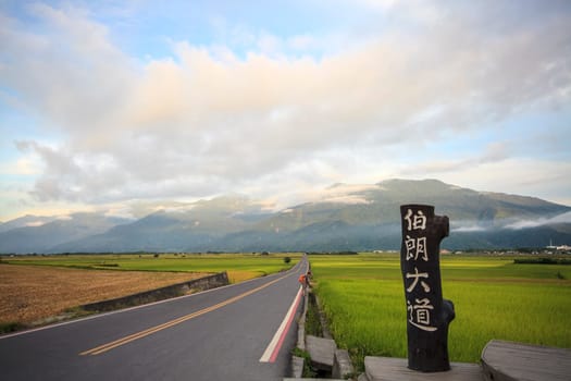 The beauty of the farmland in Taitung Taiwan for adv or others purpose use