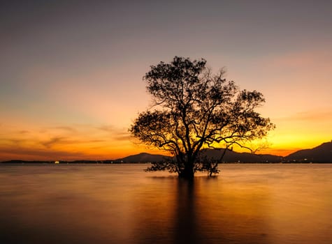 Seascape During Sunset,  Beautiful Natural Seascape, Klong Mudong Beach, Phuket Thailand