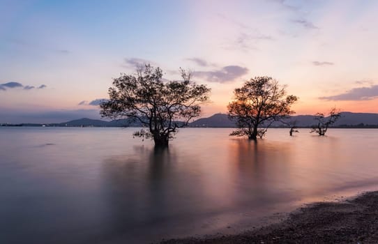Seascape During Sunrise. Beautiful Natural Seascape, Klong Mudong Beach, Phuket Thailand